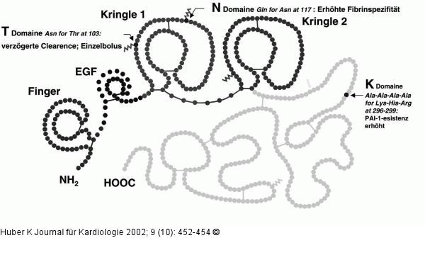 Tenecteplase - Biochemie