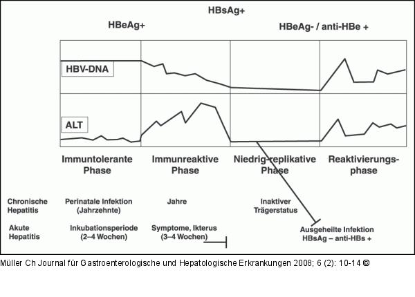 Hepatitis B