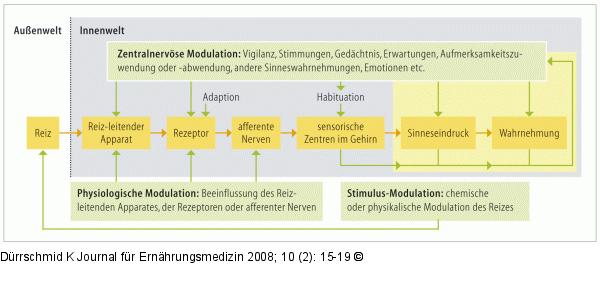 Sinneswahrnehmung