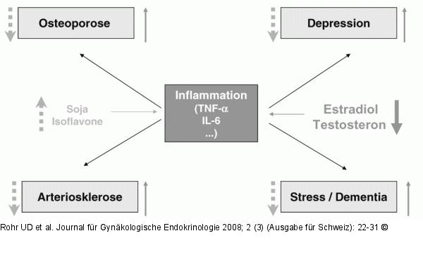 Alter - Estradiol - Testosteron
