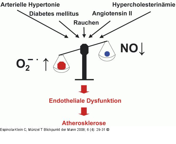 Endotheliale Dysfunktion