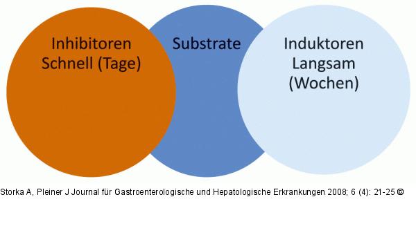Substrat - Enzyme
