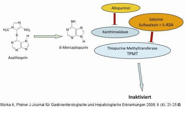 Allopurinol - Sulfasalazin