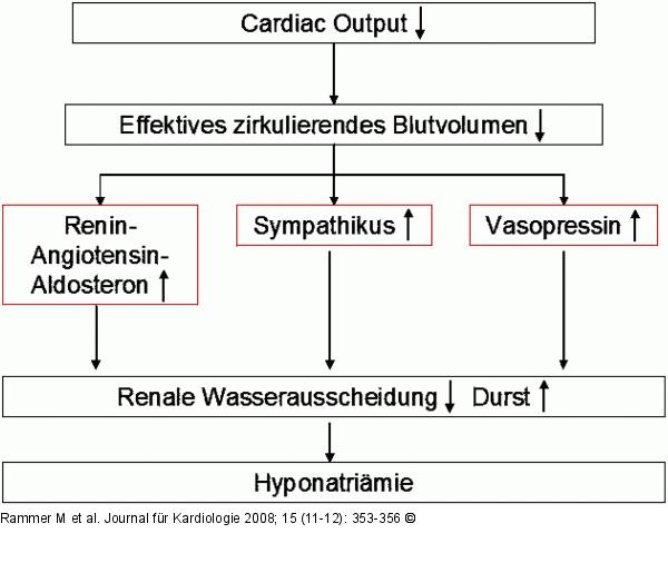 Herzinsuffizienz