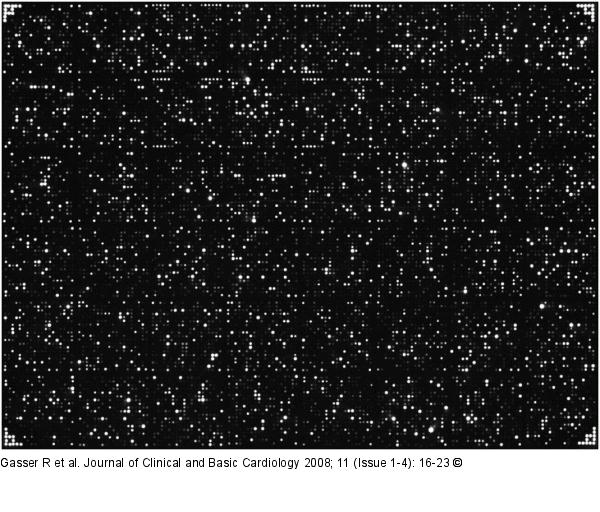 Micriarray experiments