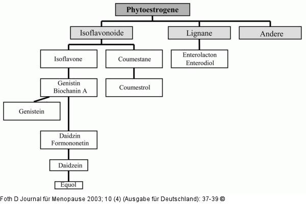 Phytoestrogene - Klassifikation