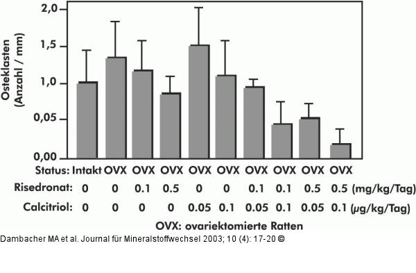 Osteoporose - Therapie - Osteoklasten