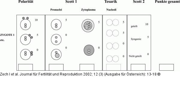 Embryobeurteilung