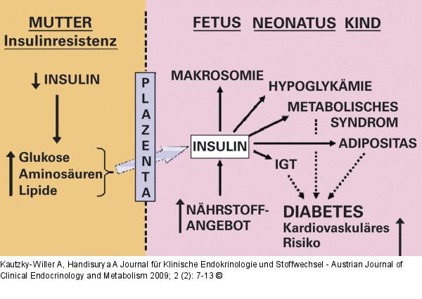 Pedersen/Freinkel-Hypothese