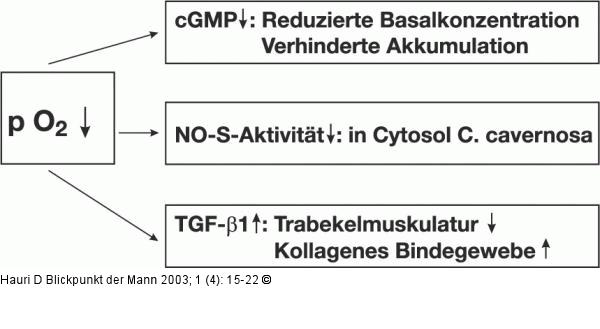 Hypoxie - Schwellgewebe