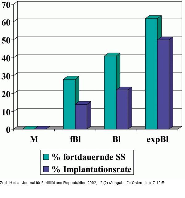 Embryo - Entwicklung