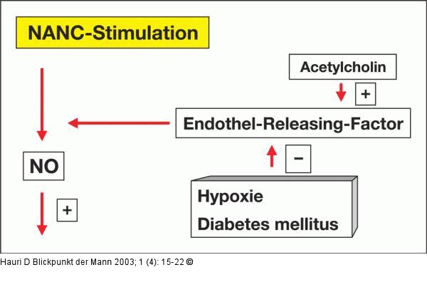 Phosphodiesterase-Hemmer