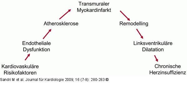 Kardiovaskulres Kontinuum