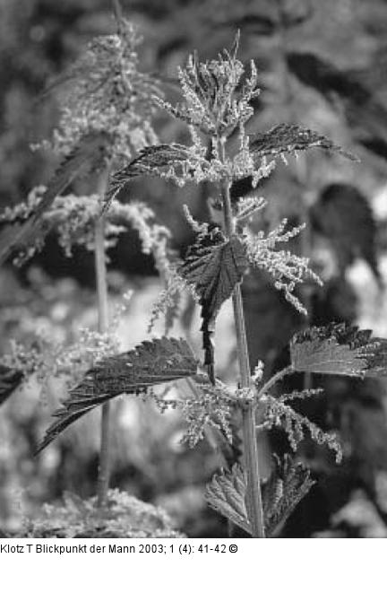 BPS - Phytotherapie