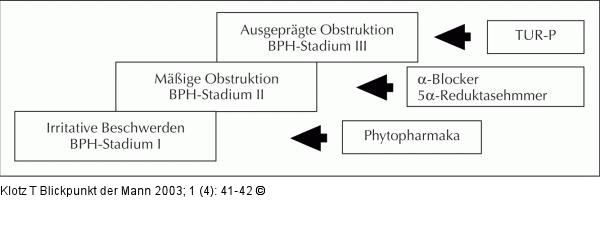 BPH-Therapie