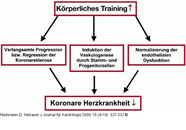 Krperliches Training