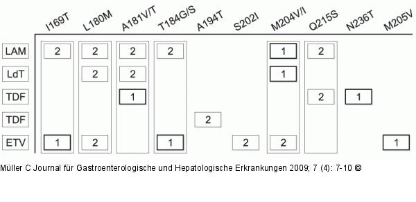 HBV-Polymerase