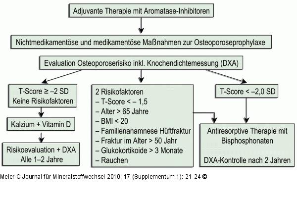 Osteoporose - Mammakarzinom