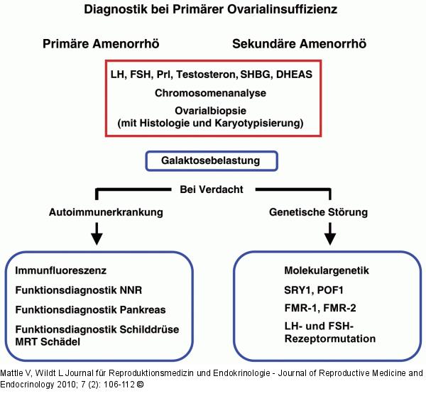Primre Ovarialinsuffizienz
