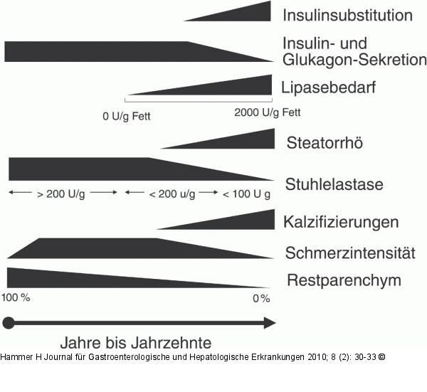 Chronische Pankreatitis