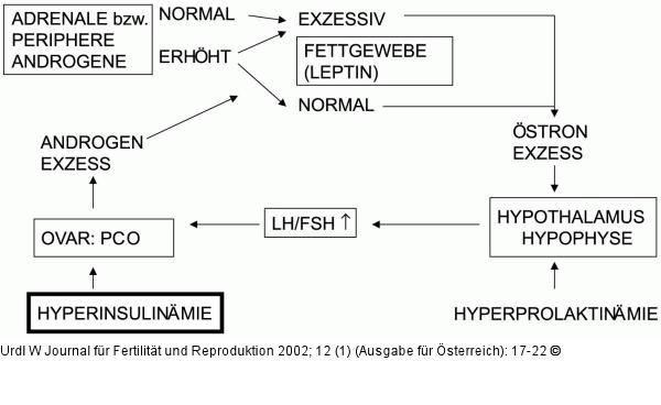 Polyzystisches Ovar-Syndrom - Pathogenese
