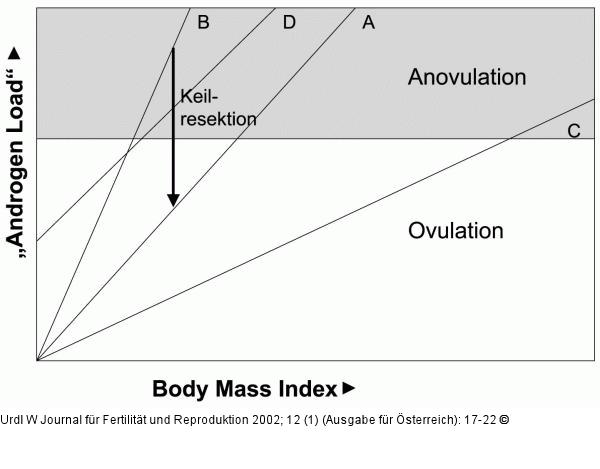 Androgen Load - BMI