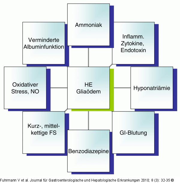 Hepatische Enzephalopathie