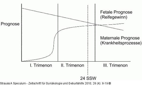 Schwangerschaft - Krebsdiagnose