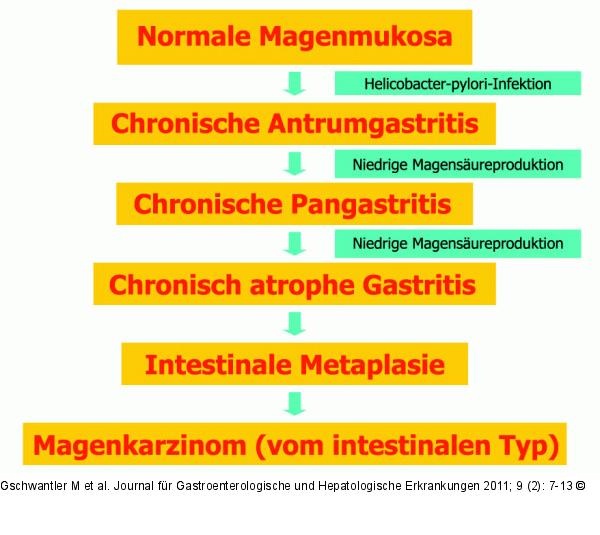 Pathogenese Magenkarzinom