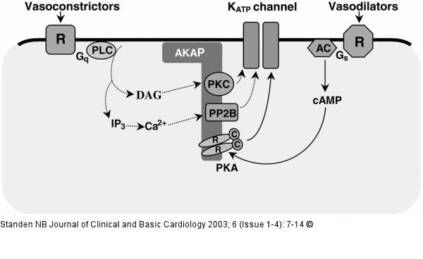 KTP-Kanal - Regulation
