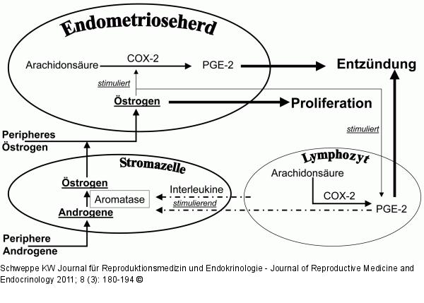 Endometriose