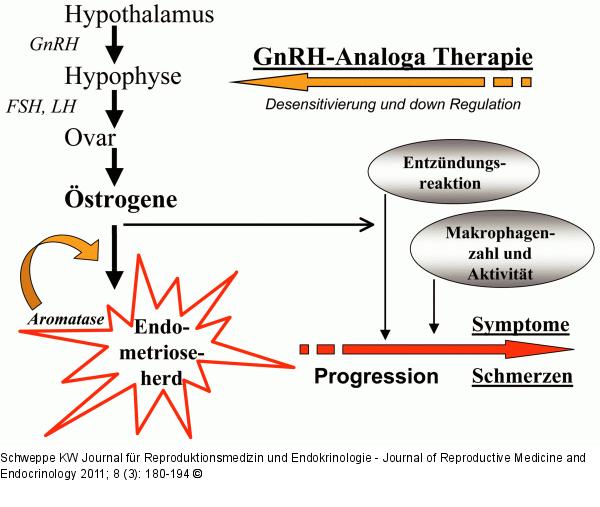 GnRH-Agonist