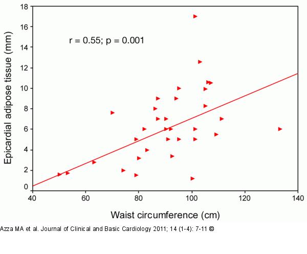 Epicardial adipose tissue thickness - Waist