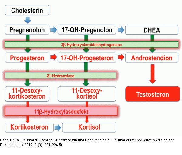 11beta-Hydroxylasedefekt