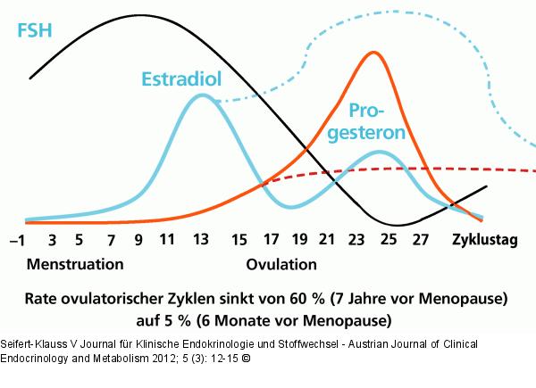 Zyklus- Hormonvernderung