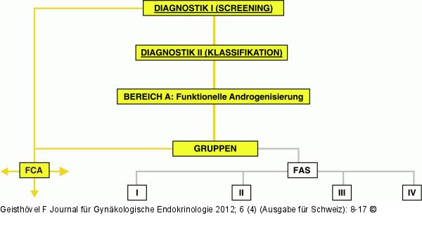 Weibliche Androgenisierung