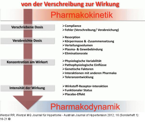 Pharmakokinetik - Pharmakodynamik