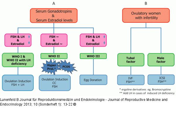 Classification of infertile patients