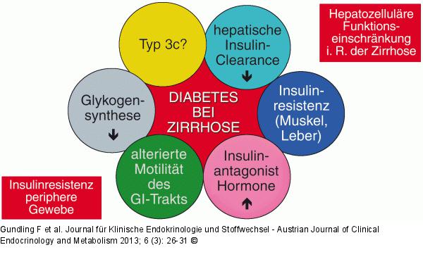 Hepatogene Diabetes