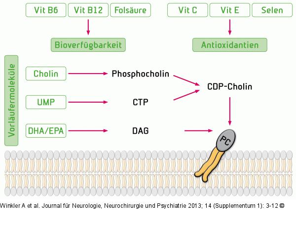 Alzheimer-Therapie