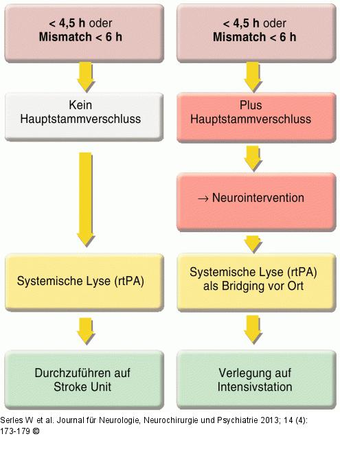 Schlaganfall-Behandlungsalgorithmen