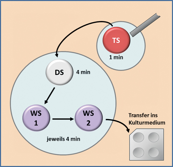 Produkt: Vit Kit<br>Vertrieb: MTG Medical 