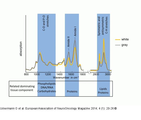Vibrational Spectroscopy