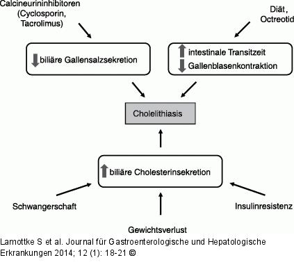 Gallensteinentstehung