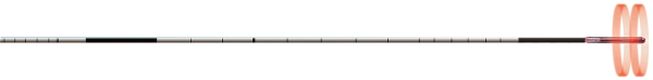 Produkt: ELVeS Radial (TM)<br>Vertrieb: biolitec AG