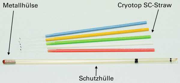 Produkt: Crypotop SC<br>Vetrieb: Gynemed GmbH
