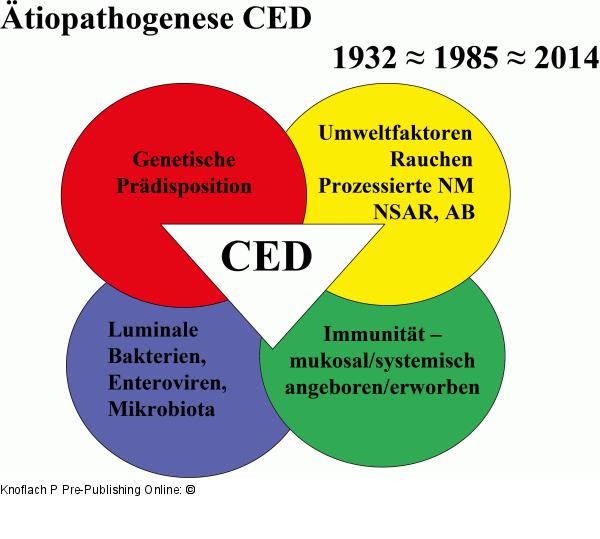 tiopathogenese-CED