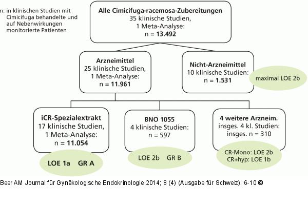 Sicherheit Cimicifuga racemosa
