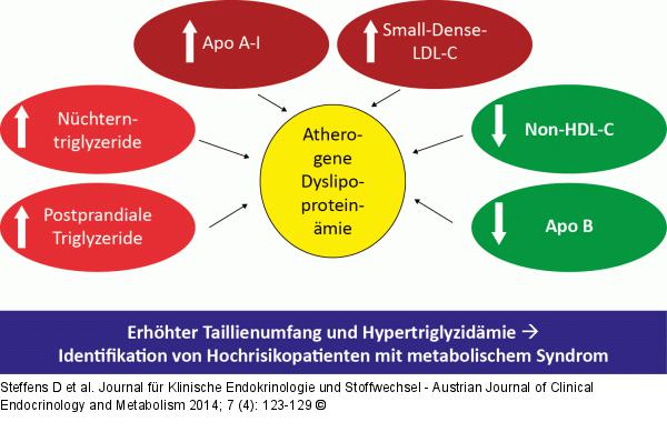 Dyslipoproteinmie
