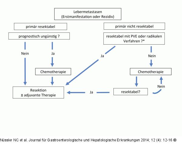Lebermetastasen-Therapie